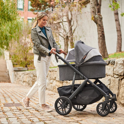 UPPAbaby VISTA V2 Duo, Greyson tåler snø og regn